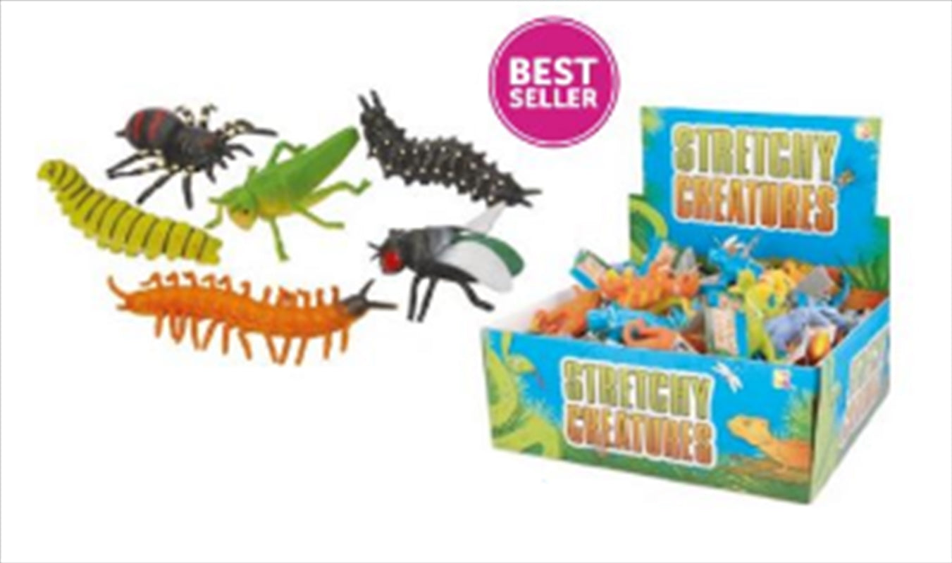 Assorted Insect Pet Toys – 9cm Random Fun Bugs