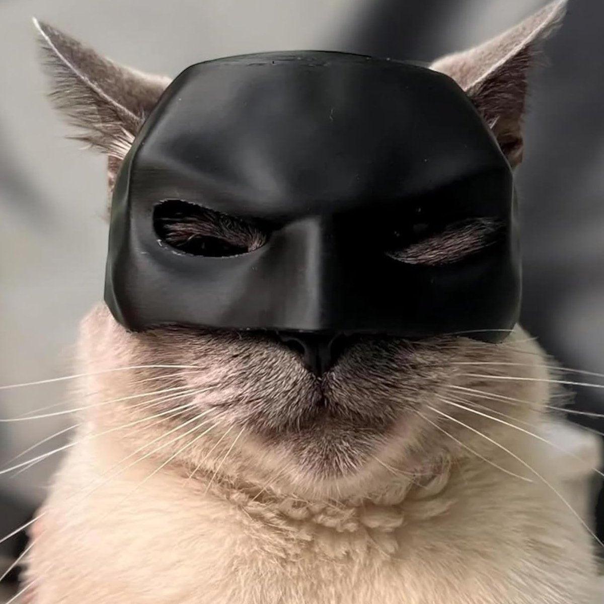 Halloween Bat Mask Cat Mask Pet Costume Accessories for Small Dogs Cats Outfit - XS