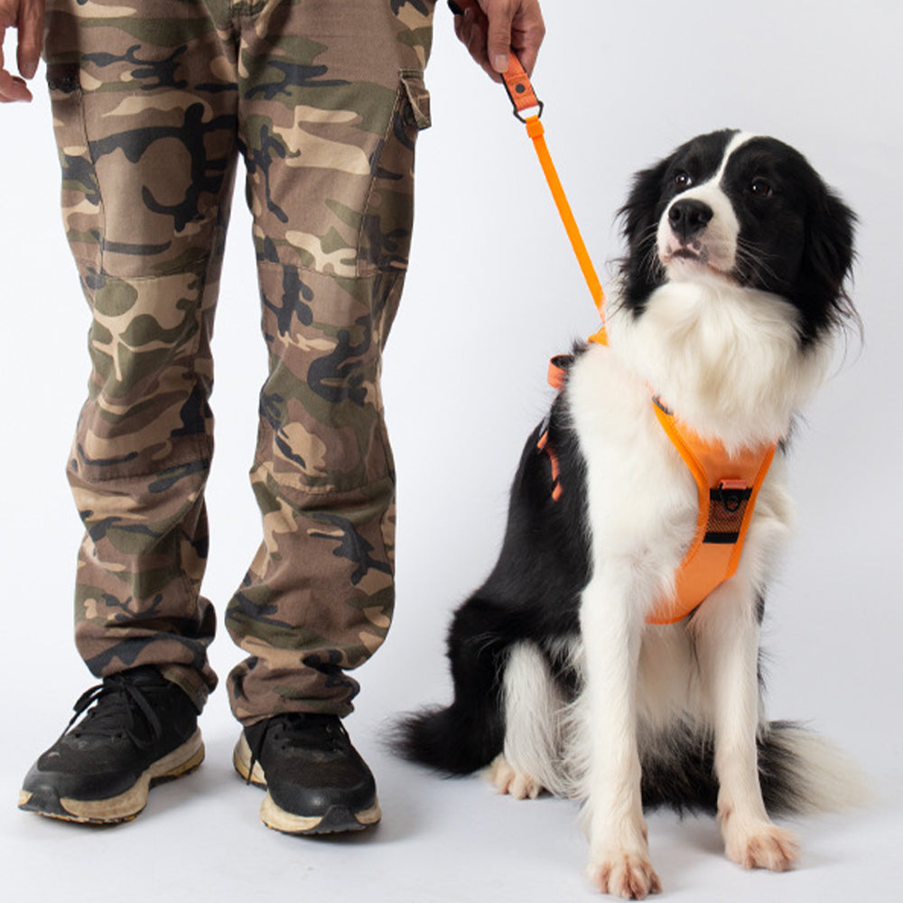 Vibe Geeks Ultimate 2-in-1 Reflective No-Pull Dog Harness with Retractable Leash & Control Handle – Black (XL)