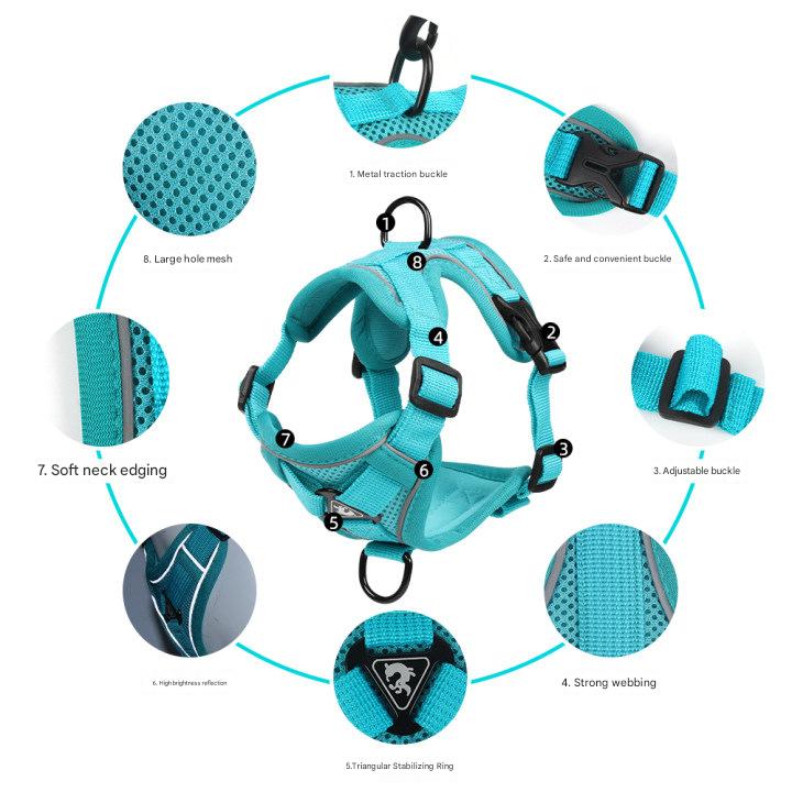 Blue Reflective Mesh Dog Harness and Leash Set – Adjustable No-Pull Breathable Vest for Dogs & Cats (XL Size)