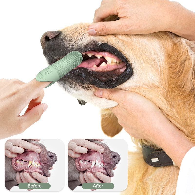 π¦· 4 Pcs Blue Soft Silicone Pet Finger Toothbrush
