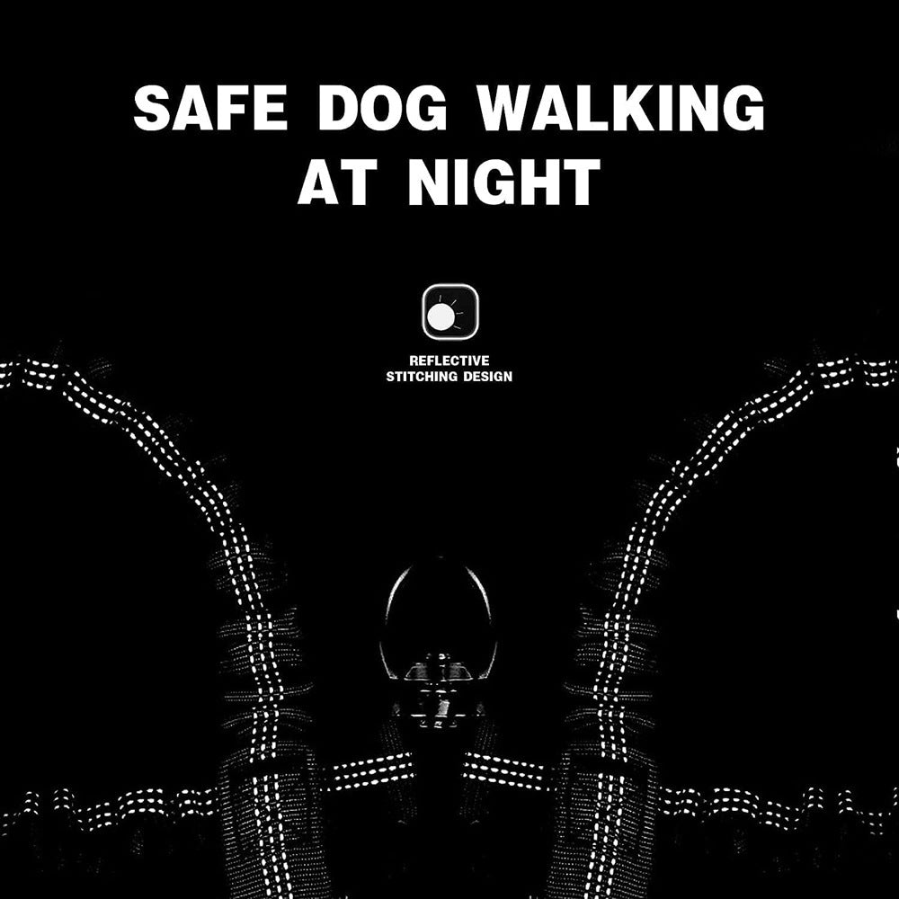 Black 3-in-1 Tangle-Free Dog Leash for 1–3 Dogs – Heavy Duty Bungee Coupler with Reflective Stitching & Padded Handle