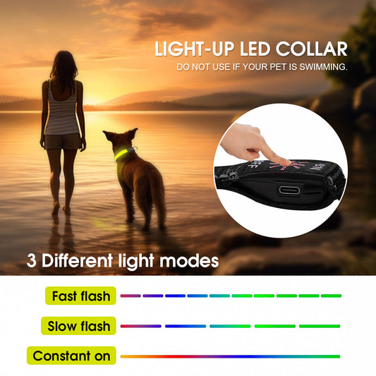 Rechargeable LED Dog Collar – 50cm Light-Up Safety Collar