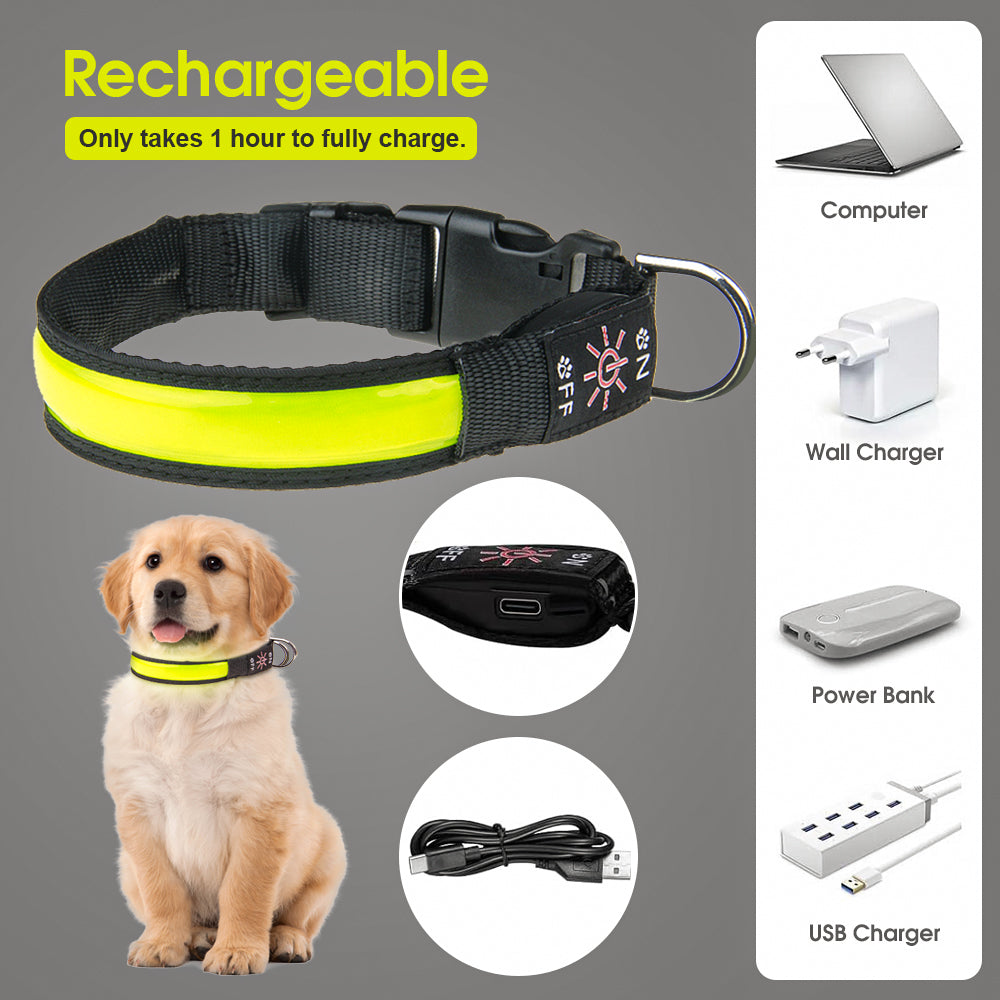 Rechargeable LED Dog Collar – 50cm Light-Up Safety Collar
