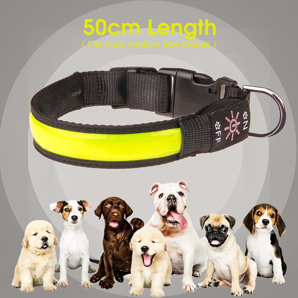 Rechargeable LED Dog Collar – 50cm Light-Up Safety Collar