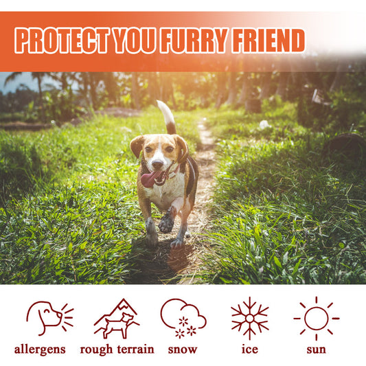 PawProtect™ Pet Paw & Nose Balm for Dogs & Cats – Healing, Moisturising, All-Season Protection