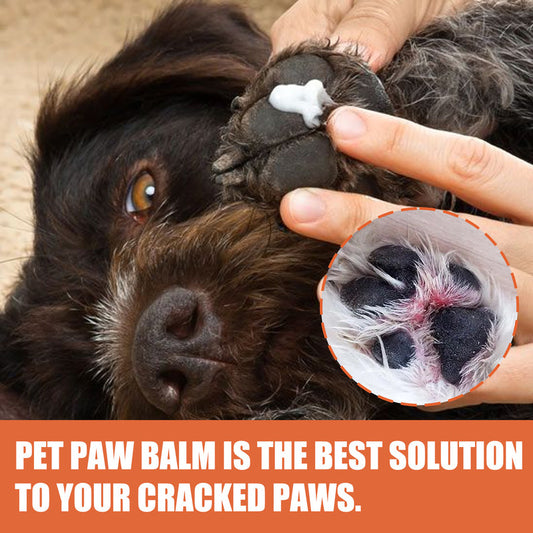 PawProtect™ Pet Paw & Nose Balm for Dogs & Cats – Healing, Moisturising, All-Season Protection