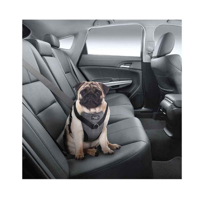 XL Dog Harness 2-in-1 Combo – Car Travel & Walking Harness with No-Pull Leash and Seat Belt Attachment