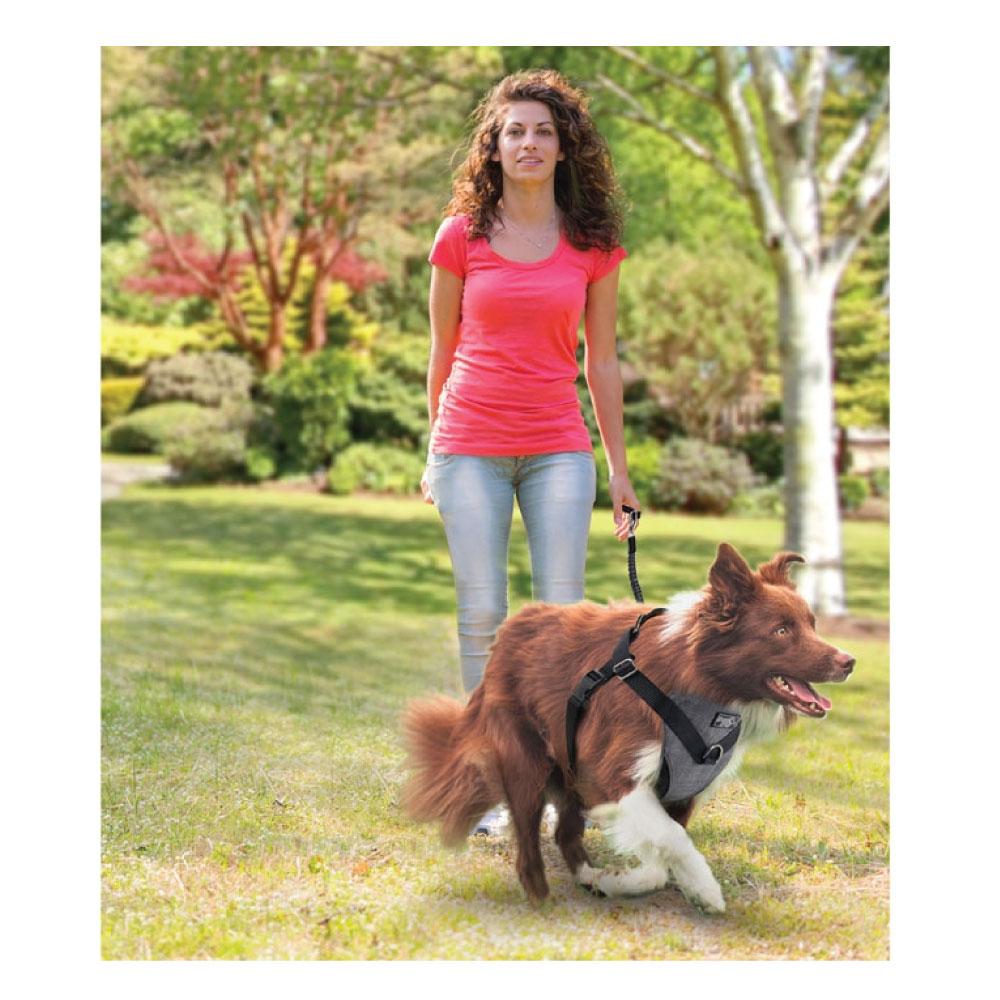 XL Dog Harness 2-in-1 Combo – Car Travel & Walking Harness with No-Pull Leash and Seat Belt Attachment