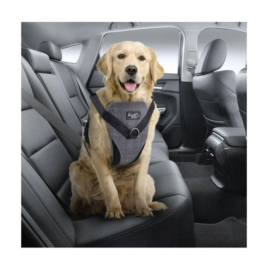 XL Dog Harness 2-in-1 Combo – Car Travel & Walking Harness with No-Pull Leash and Seat Belt Attachment