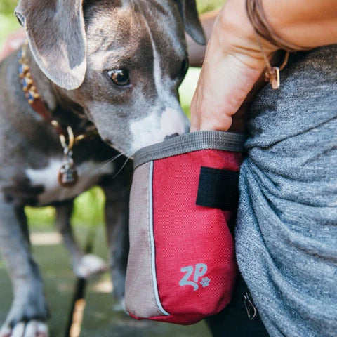 Zippy Paws Adventure Treat Bag – Desert Red, Portable Dog Training Pouch with Belt Clip