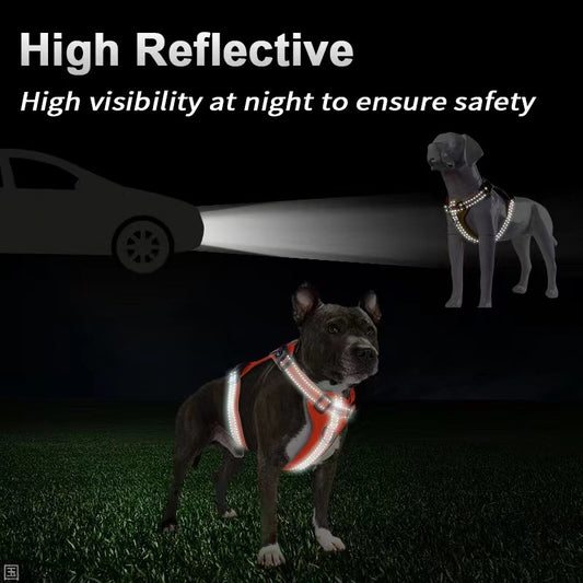 Reflective No-Pull Dog Harness with Leash – Adjustable Vest Harness with Handle for Walking & Training (L Size)