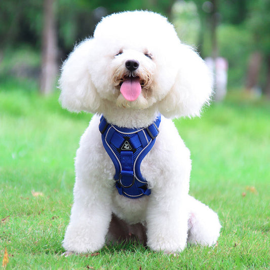 Blue Reflective Mesh Dog Harness and Leash Set – Adjustable No-Pull Breathable Vest for Dogs & Cats (XL Size)