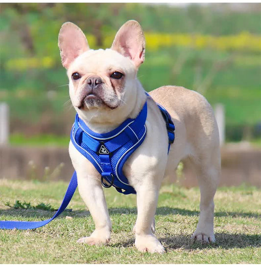 Blue Reflective Mesh Dog Harness and Leash Set – Adjustable No-Pull Breathable Vest for Dogs & Cats (XL Size)