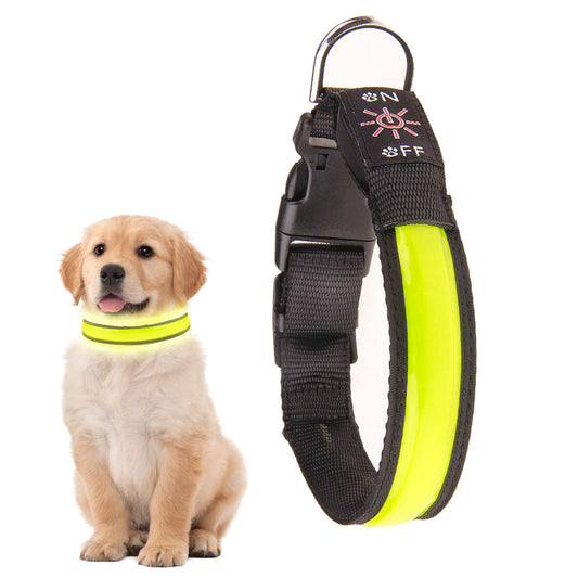 Rechargeable LED Dog Collar – 50cm Light-Up Safety Collar