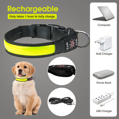 Rechargeable LED Dog Collar – 50cm Light-Up Safety Collar